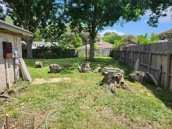 Affordable lawn care service in Friendswood, TX by Grass Masters