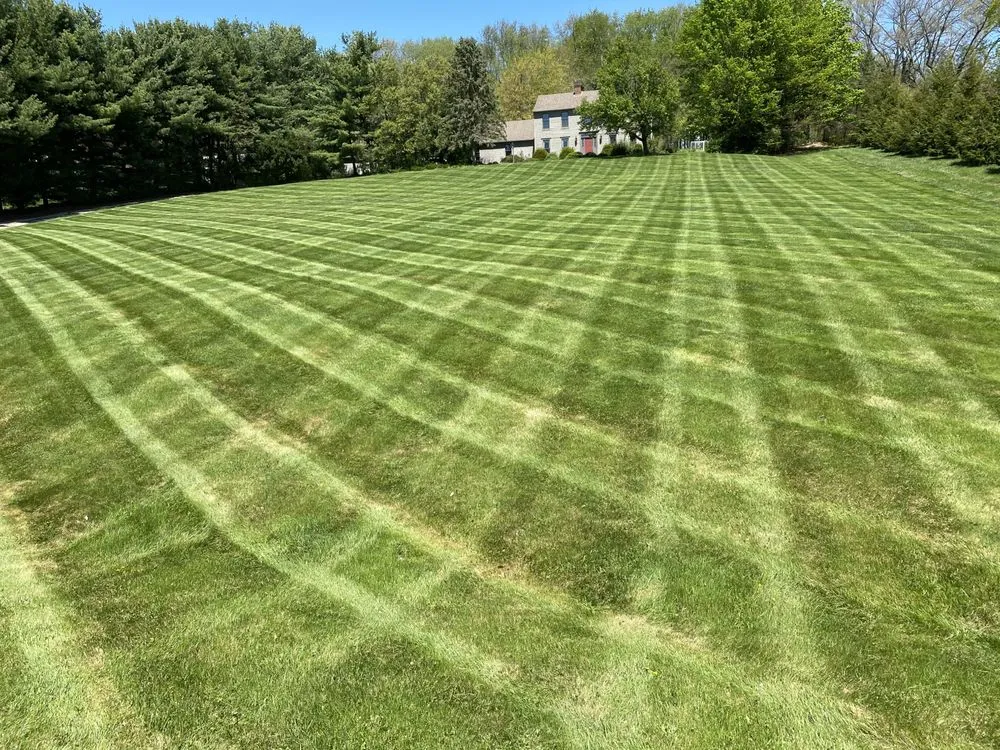 Trusted yard cleanup service for residential properties in Howard, OH by Grass Masters