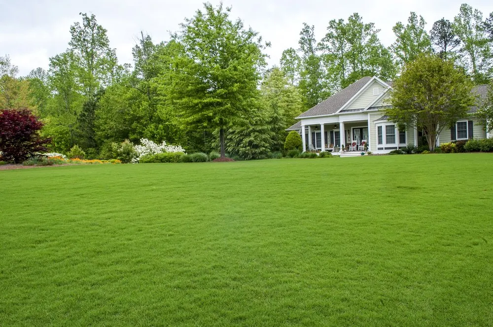 Expert landscaping services in Saratoga Springs, UT - Grass Masters Hydroseeding