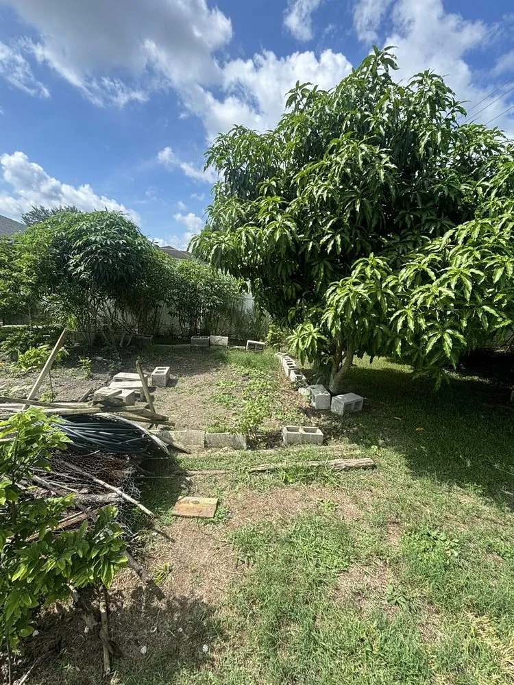 Trusted lawn mowing service in Lakeland, FL - Grass Masters