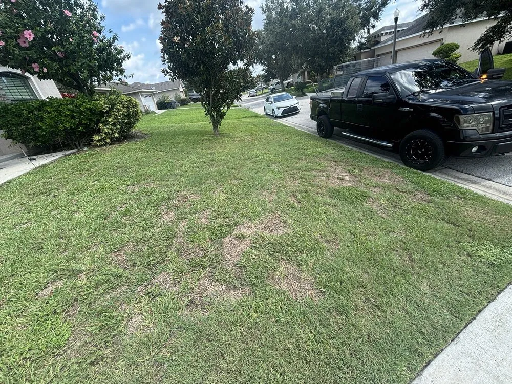 Top-rated outdoor landscaping in Lakeland, FL - Grass Masters