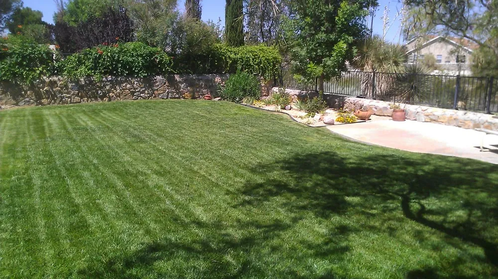 Expert residential landscaping for residential properties across Las Cruces, NM - Grass Masters