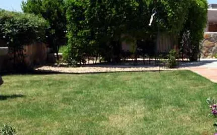 Local landscaping services in Las Cruces, NM by Grass Masters