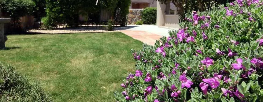 Local landscape installation in Las Cruces, NM by Grass Masters