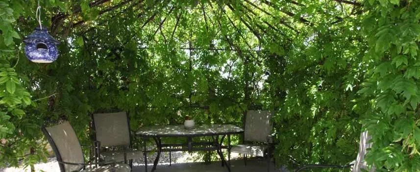 Professional yard cleanup service for residential properties across Las Cruces, NM - Grass Masters