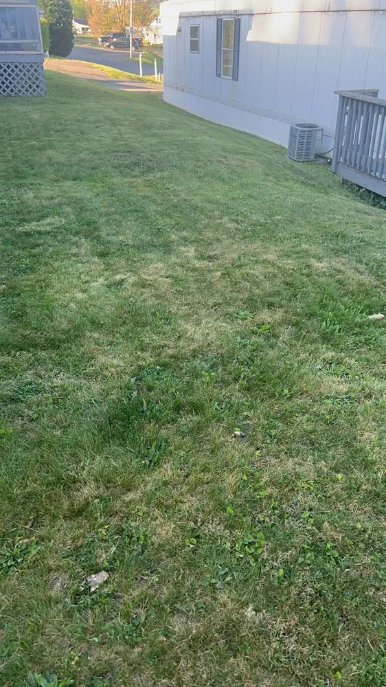 Affordable yard cleanup service near you in Morgantown, WV by Grass Masters Lawn Care and Pressure Washing