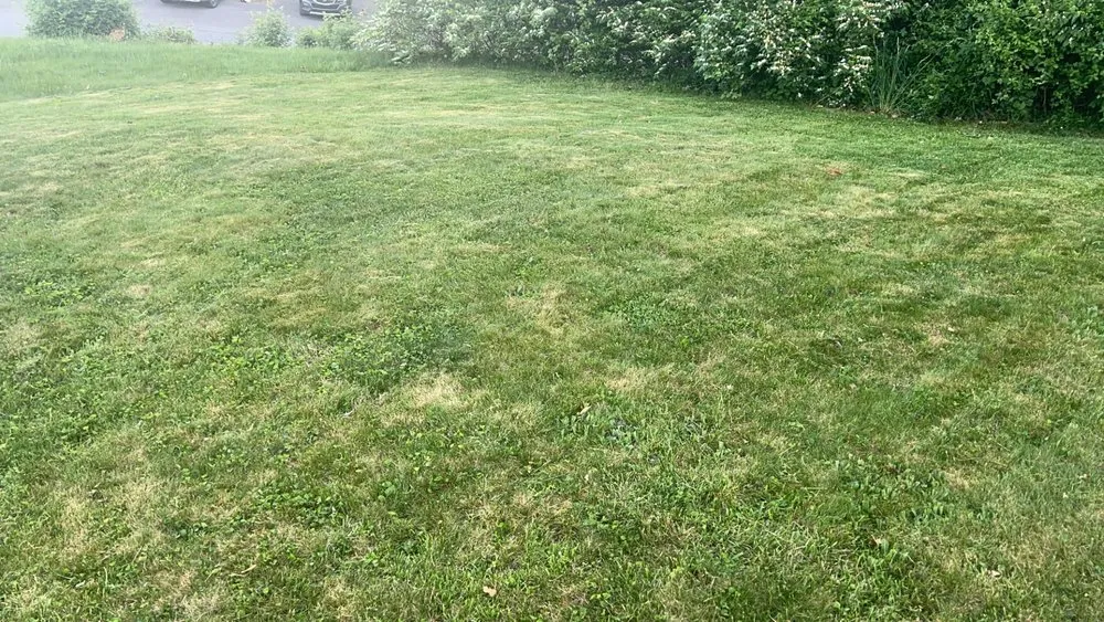 Trusted residential landscaping for outdoor upgrades in Morgantown, WV by Grass Masters Lawn Care and Pressure Washing