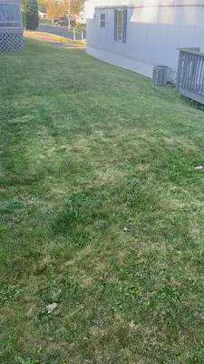 Grass Masters Lawn Care and Pressure Washing Logo