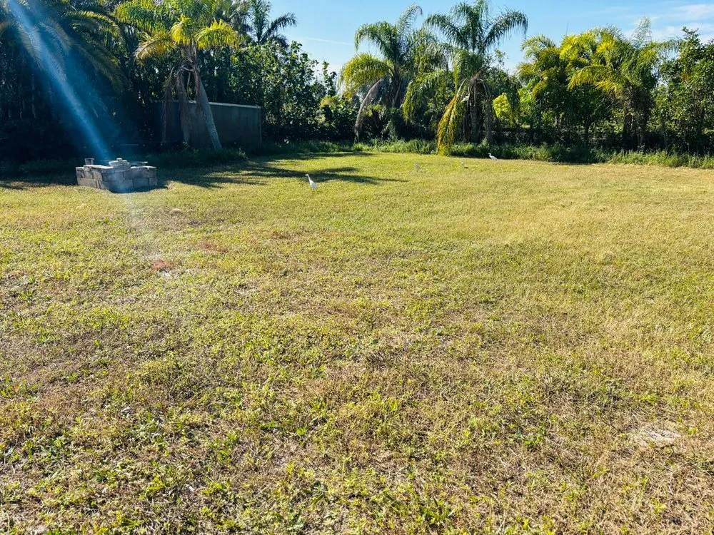 Custom lawn mowing service with custom design in Fort Myers, FL by Grass Masters Lawn Care