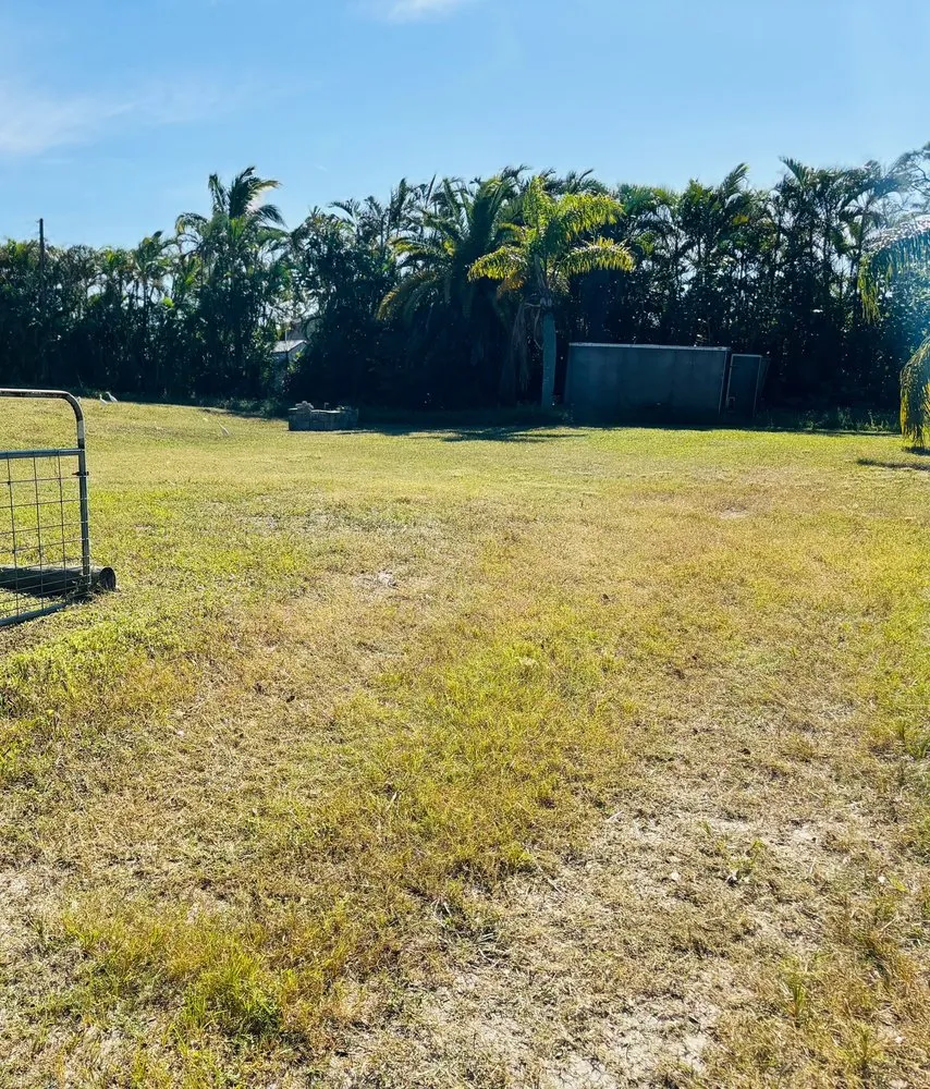 Custom landscape design in Fort Myers, FL - Grass Masters Lawn Care