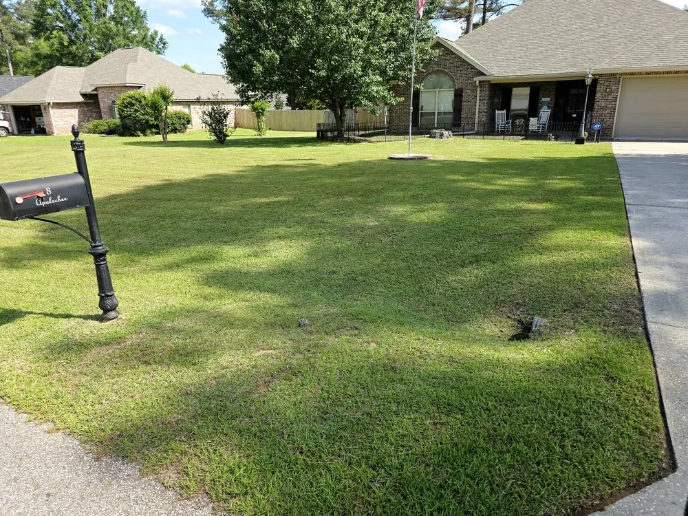 Expert landscape design near you across Hattiesburg, MS - Grass Masters Lawn Care