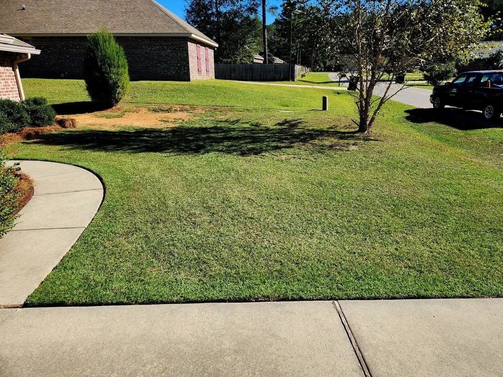 Custom landscape installation for outdoor upgrades across Hattiesburg, MS - Grass Masters Lawn Care