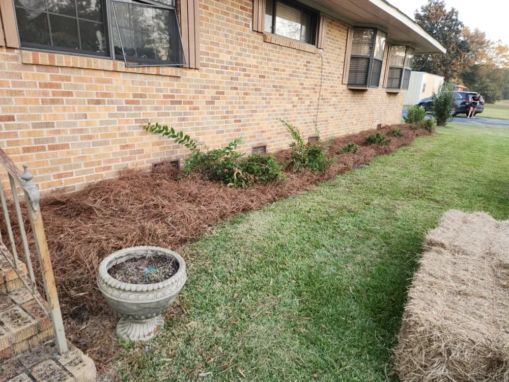Top-rated landscape installation in Hattiesburg, MS - Grass Masters Lawn Care