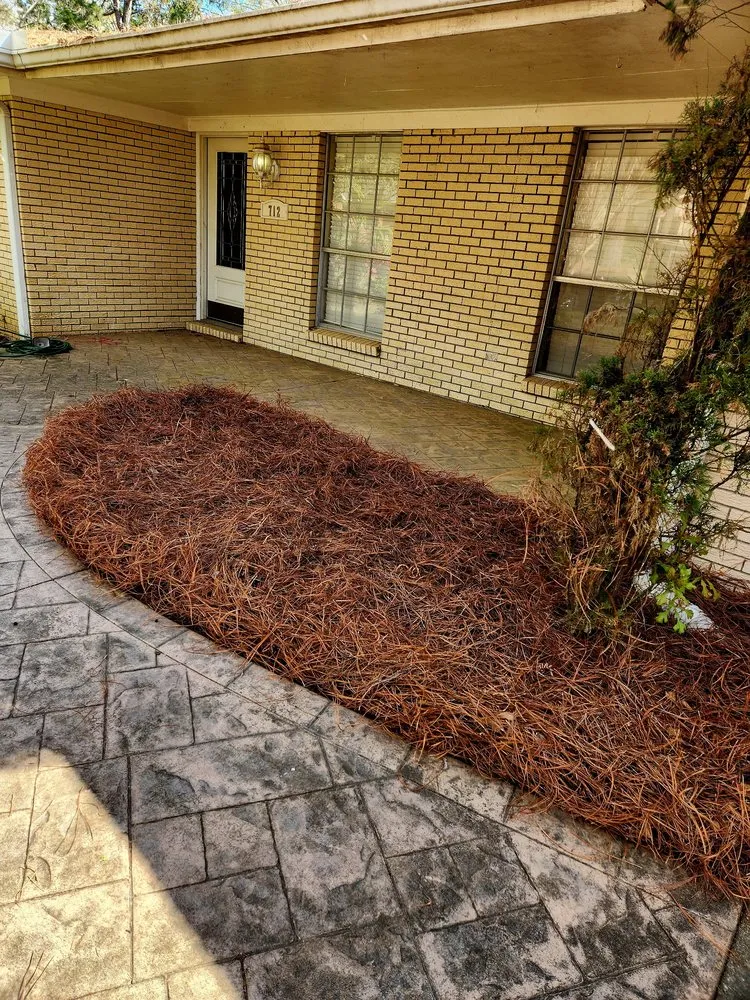 Trusted lawn care service in Hattiesburg, MS - Grass Masters Lawn Care