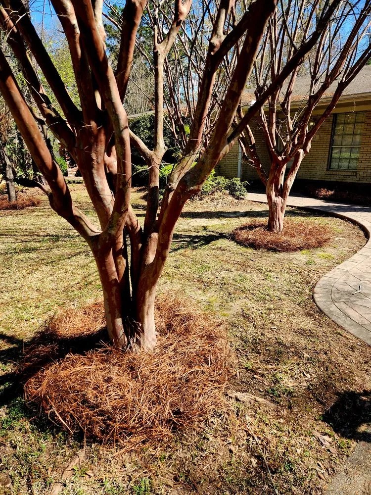 Expert garden landscaping experts serving Hattiesburg, MS - Grass Masters Lawn Care
