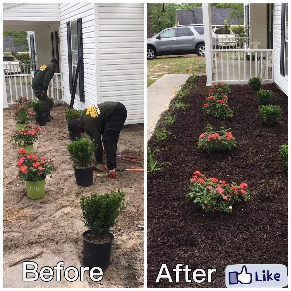 Affordable yard cleanup service in Summerville, SC - Grass Masters Of South Carolina