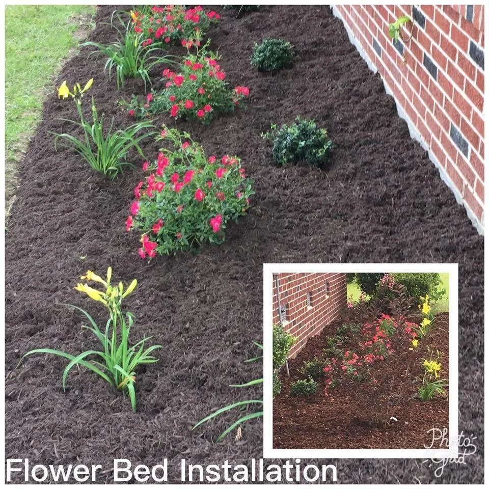 Affordable lawn mowing service in Summerville, SC by Grass Masters Of South Carolina