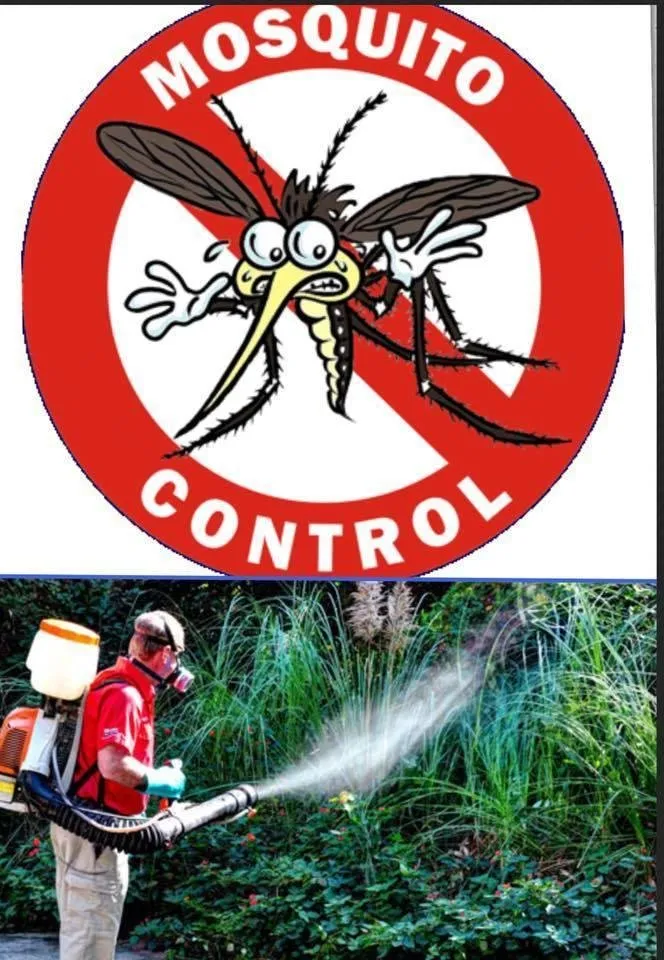 Reliable landscape design in Summerville, SC - Grass Masters Of South Carolina