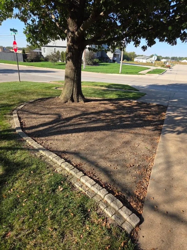 Expert lawn care service in York, NE - Grass Masters