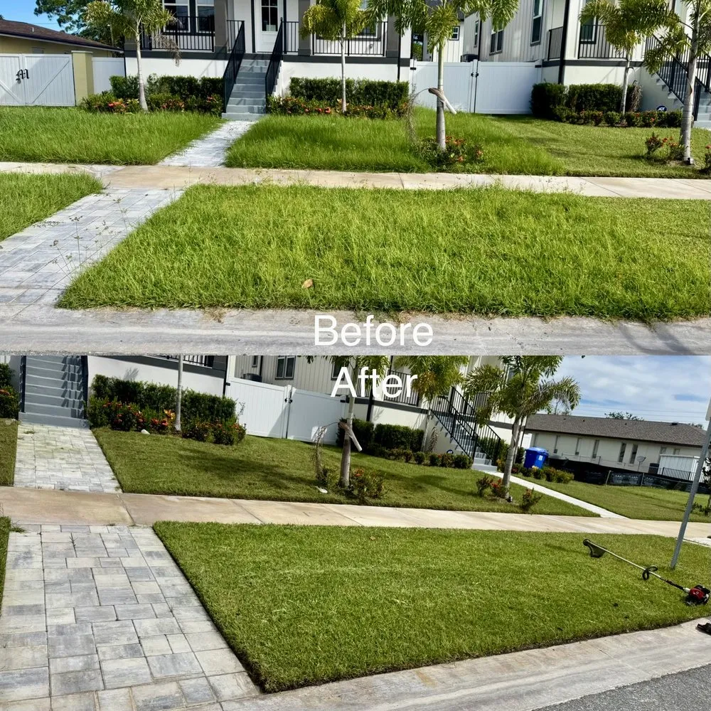 Top-rated yard cleanup service in St. Petersburg, FL - Grass Medics