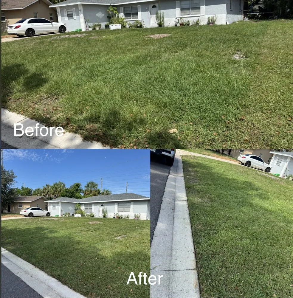 Professional landscape design experts serving St. Petersburg, FL - Grass Medics