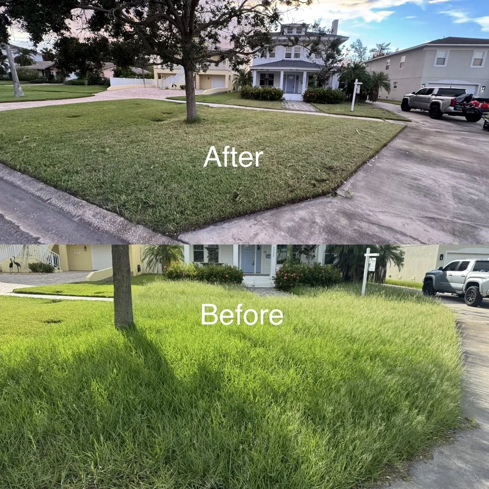 Custom landscape installation for outdoor upgrades in St. Petersburg, FL by Grass Medics