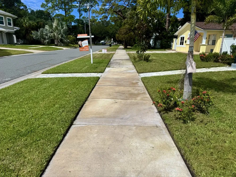 Top-rated yard cleanup service in St. Petersburg, FL by Grass Medics