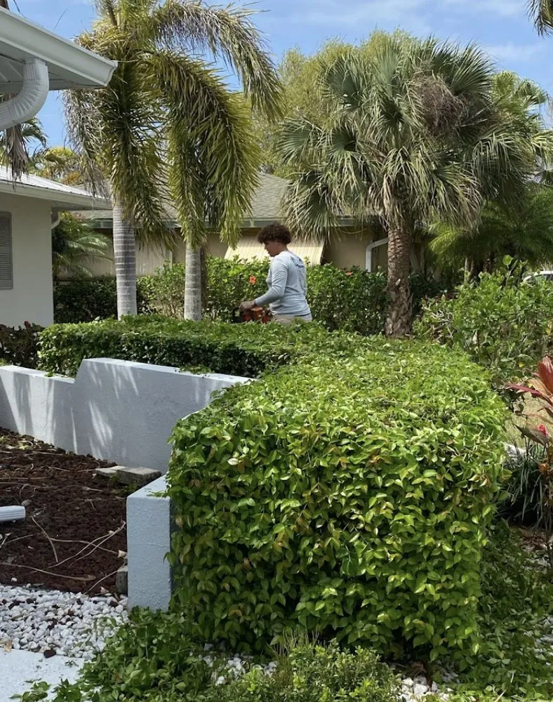 Local outdoor landscaping in Cape Coral, FL by Grass Money Lawn Maintenance & Landscaping