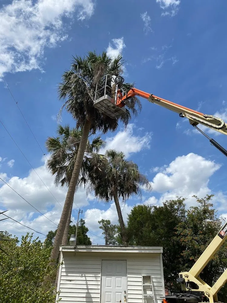 Professional landscaping services in Cape Coral, FL by Grass Money Lawn Maintenance & Landscaping