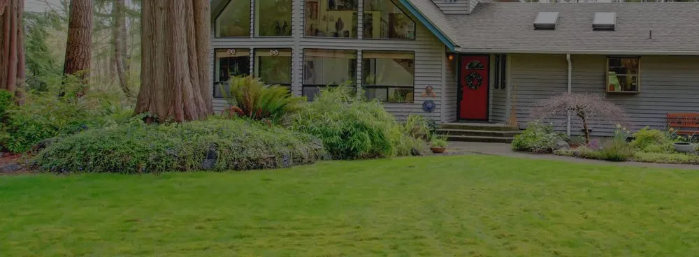 Reliable outdoor landscaping in Livonia, NY - Grass Money