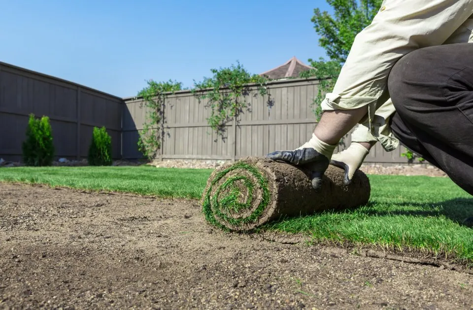 Affordable yard cleanup service for beautiful yards in Livonia, NY by Grass Money