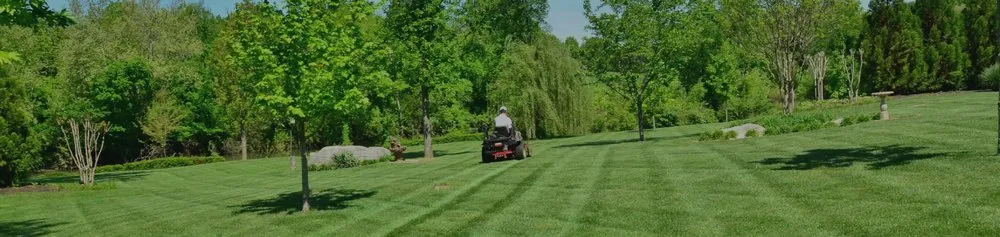 Reliable lawn mowing service for residential properties in Livonia, NY by Grass Money