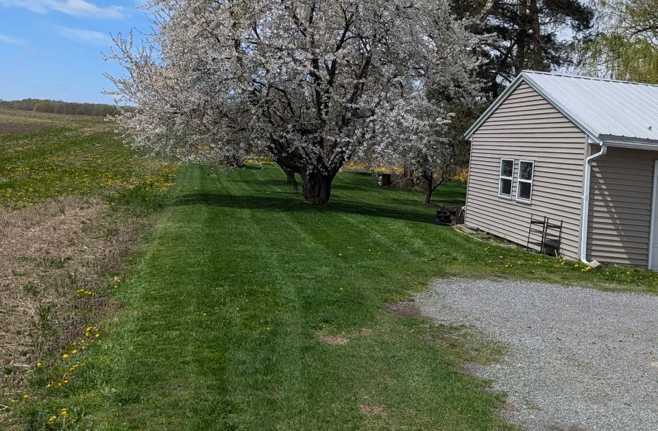 Custom landscaping services in Livonia, NY by Grass Money