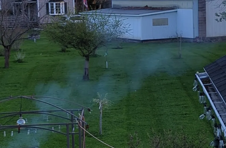 Reliable yard cleanup service for year-round maintenance in Livonia, NY by Grass Money