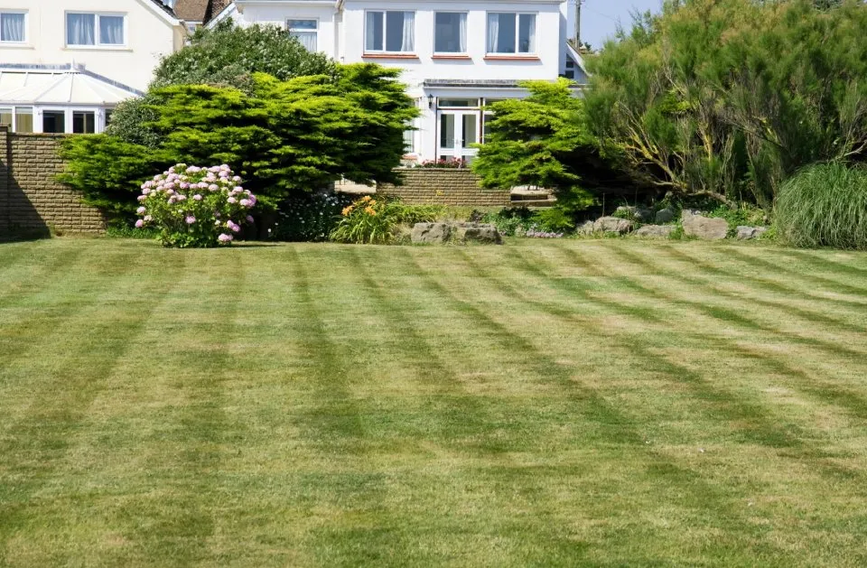 Top-rated landscape installation in Livonia, NY - Grass Money