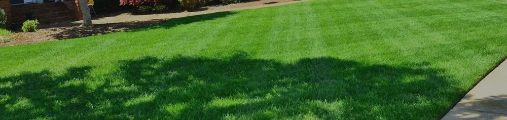 Expert yard cleanup service experts serving Livonia, NY - Grass Money