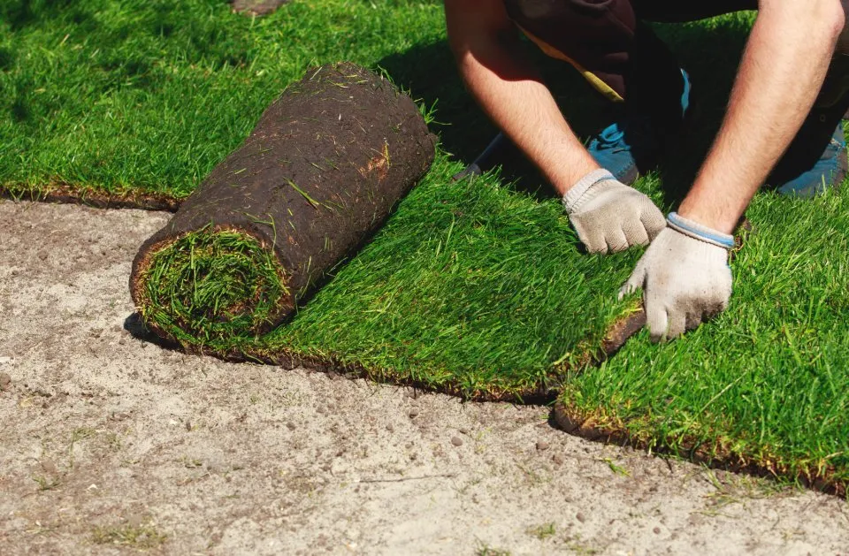 Reliable yard cleanup service experts serving Livonia, NY - Grass Money