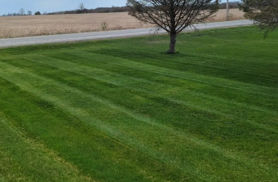 Trusted residential landscaping in Livonia, NY by Grass Money