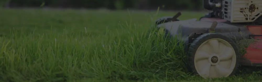 Trusted landscape installation for year-round maintenance in Livonia, NY by Grass Money