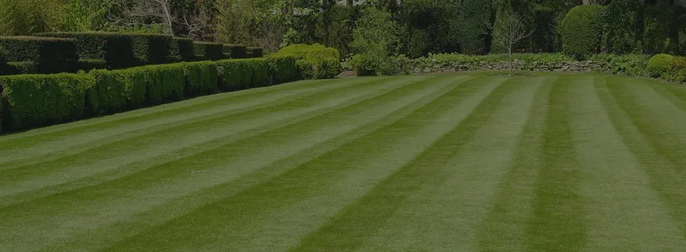 Custom landscape installation experts serving Livonia, NY - Grass Money