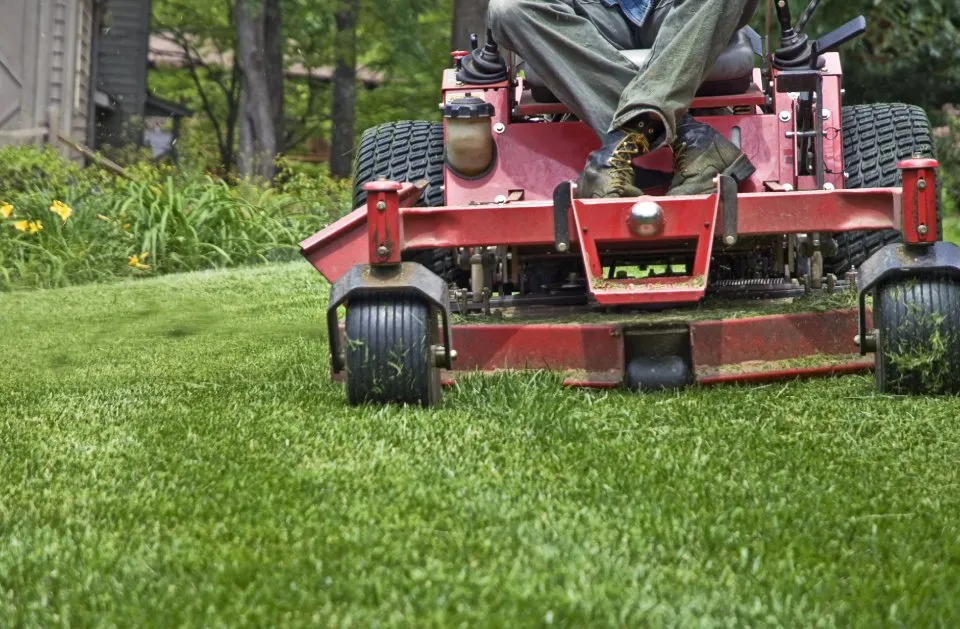 Reliable yard maintenance in Livonia, NY by Grass Money