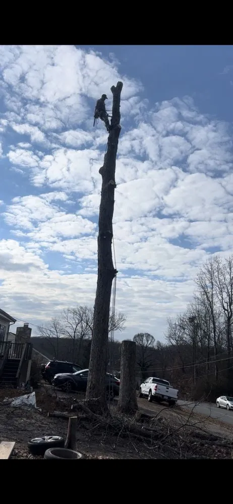 Expert landscape design in Dumfries, VA by Grass Monkey & Trees Service