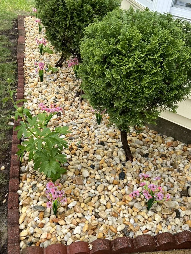 Trusted lawn care service in Dumfries, VA - Grass Monkey & Trees Service