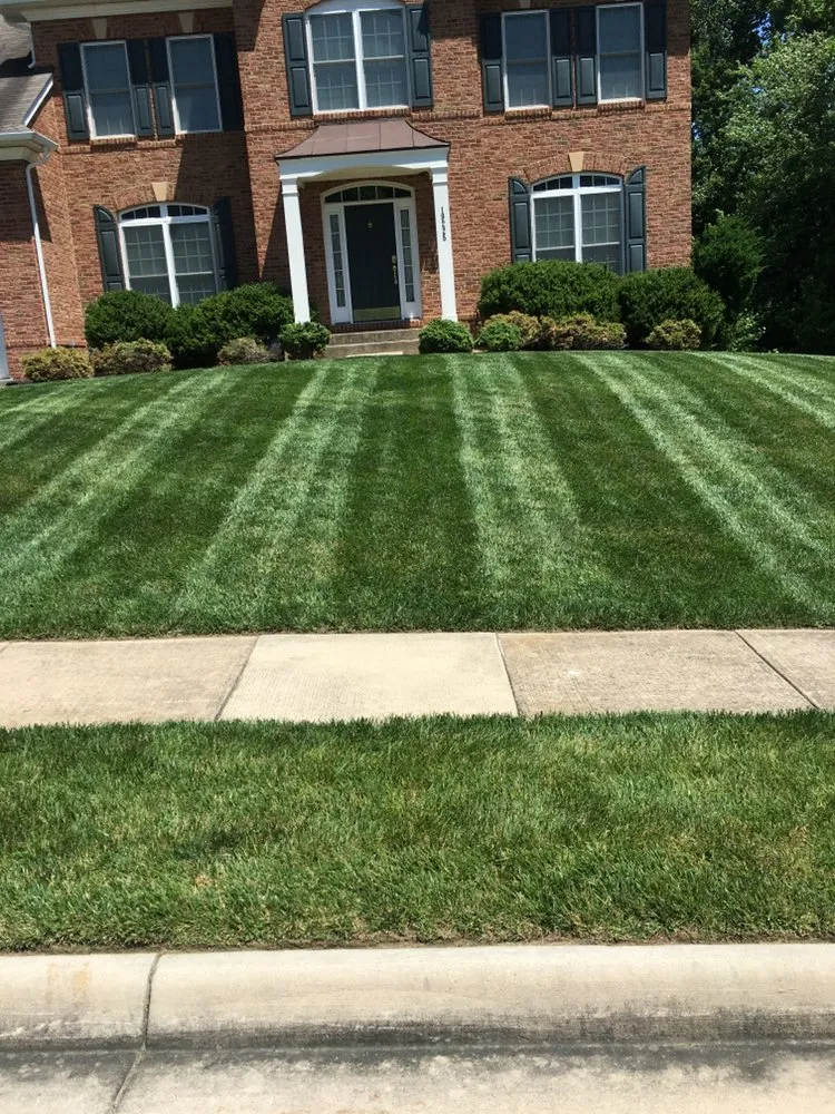 Local lawn care service for homes in Dumfries, VA by Grass Monkey & Trees Service