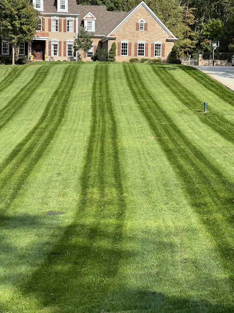 Local lawn care service in Dumfries, VA by Grass Monkey & Trees Service