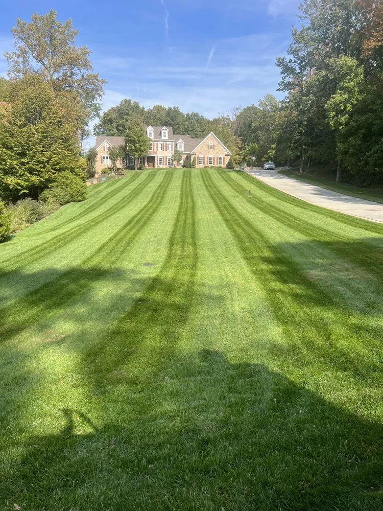 Professional lawn mowing service experts serving Dumfries, VA - Grass Monkey & Trees Service