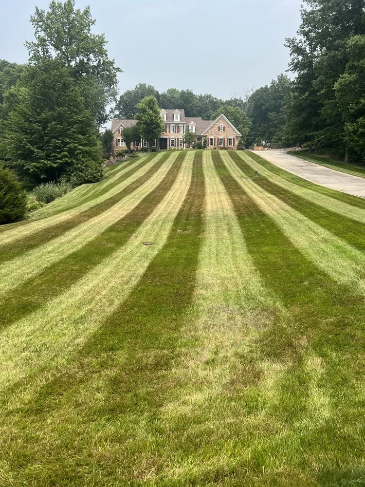 Trusted landscaping services for homes across Dumfries, VA - Grass Monkey & Trees Service