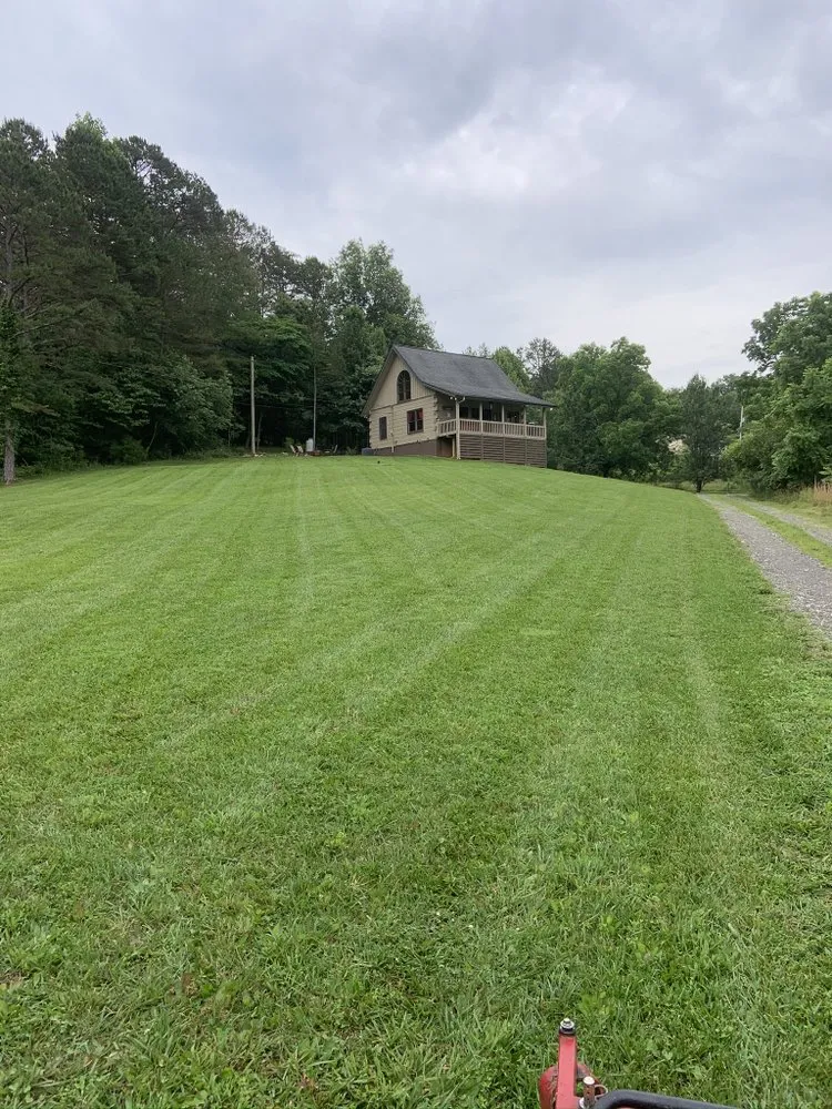 Top-rated lawn care service in Blue Ridge, GA - Grass Monkey Landscape