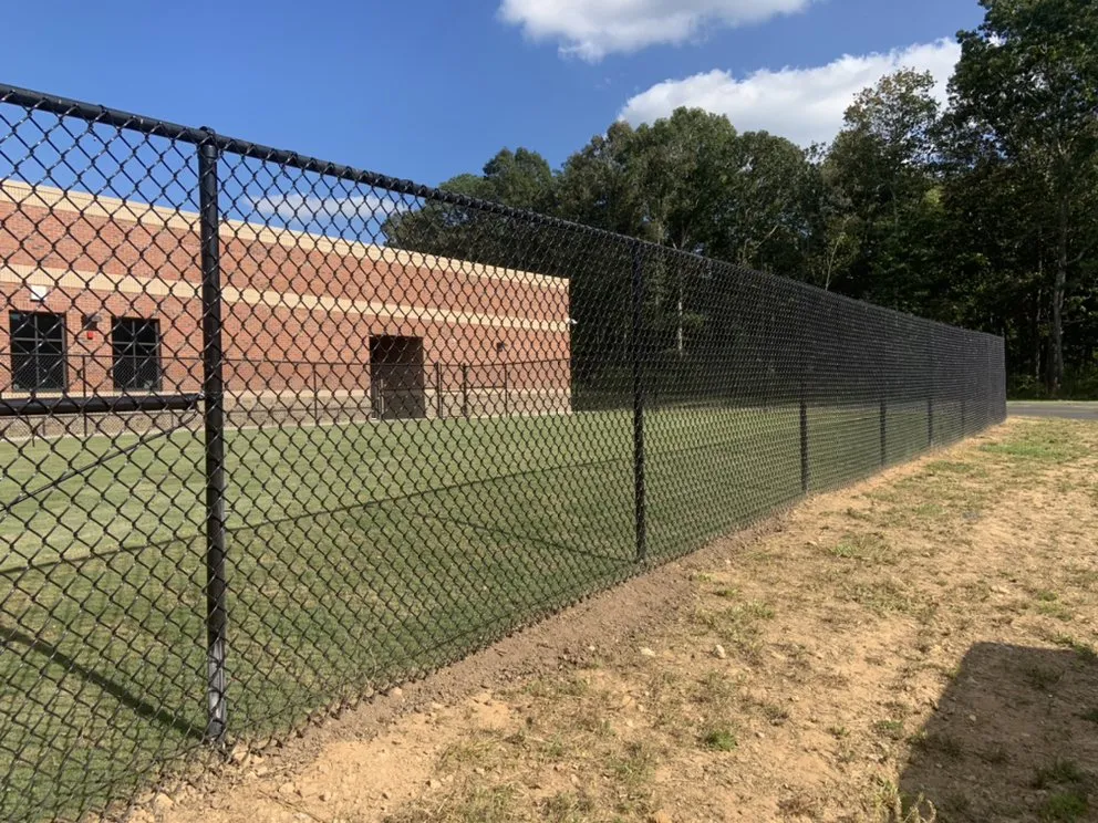 Reliable yard cleanup service in Blue Ridge, GA - Grass Monkey Landscape