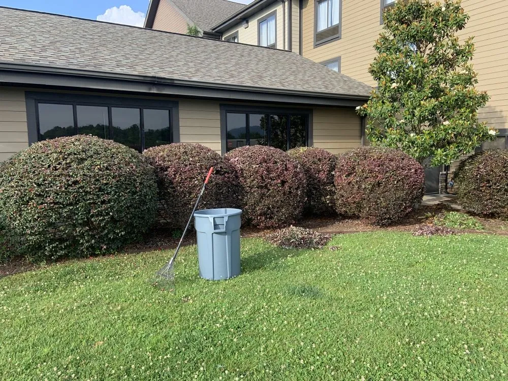 Reliable yard cleanup service experts serving Blue Ridge, GA - Grass Monkey Landscape
